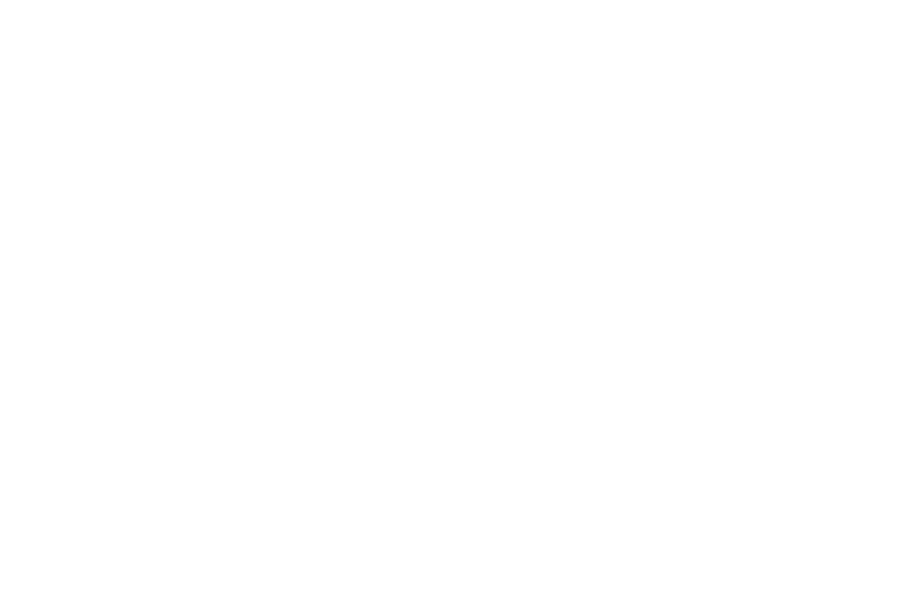 USLAW Network Inc