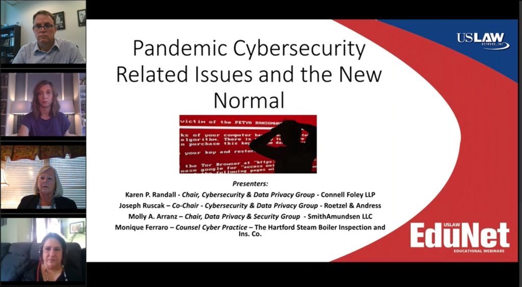 Pandemic Cybersecurity Related Issues and the New Normal
